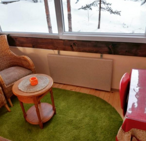 Studio apartman Viktor